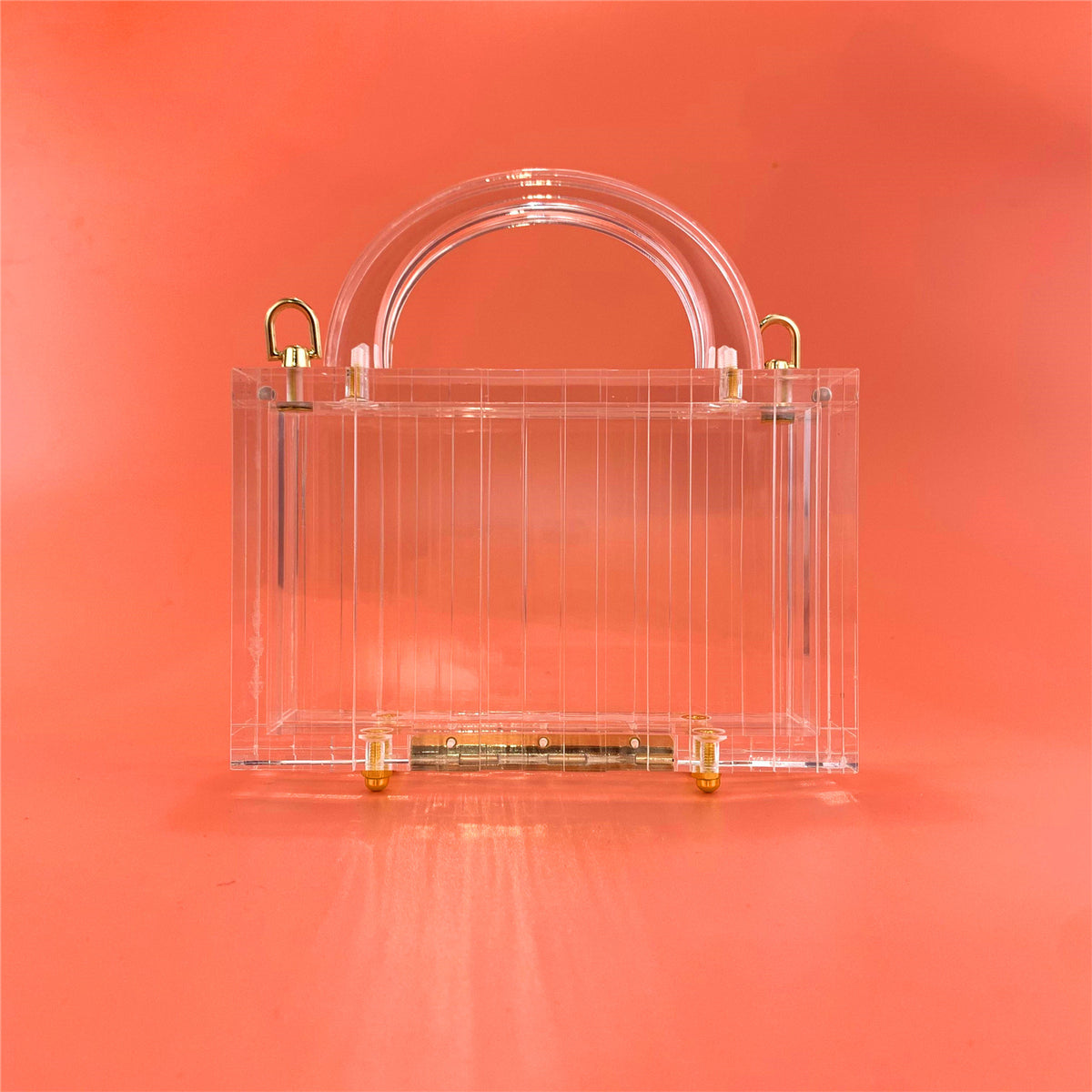 Transparent Striped Acrylic Evening Clutch